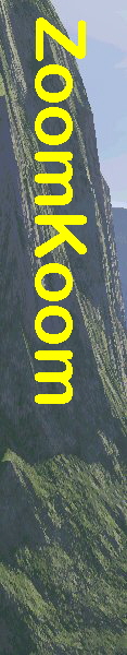 ZoomKoom